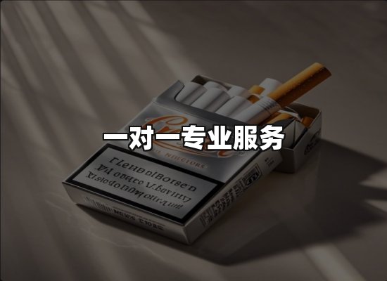 专业优势